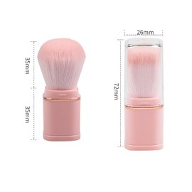 Feilguee 1PCS Makeup Blush Brushes Foudation Blush Brush Cosmetic Tool Makeup Brush Portable With Cover