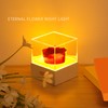 Rose Night Light Romantic Small USB Charging Soft Brightness Decoration