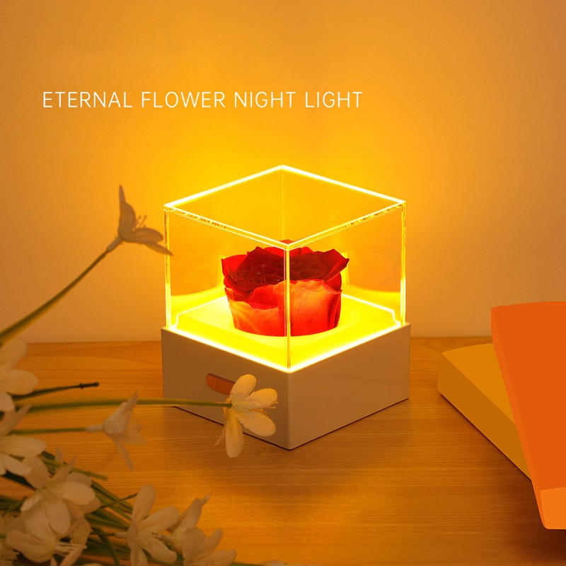 Rose Night Light Romantic Small USB Charging Soft Brightness Decoration