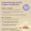 Proceive® Women & Proceive® Men Dual Pack Fertility Supplements for