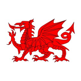 TENNER.LONDON Set of 5 Welsh Dragon Iron on Screen print Fabric Applique machine washable transfer Wales Dragon