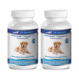 antioxidant for Dogs - Advanced Immune System Support - CHEWABLE - for Dogs - Supplements for Dogs with Dry Skin - 2 Bottle (180 Chews)