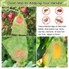 100pcs Fruit Protection Bags 8x12 inch, Green Netting Cover Bags