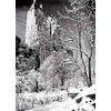 Psaris Productions Central Park New York Christmas Cards Boxed With