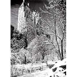 Psaris Productions Central Park New York Christmas Cards Boxed With Envelopes Set of 12 Holiday Cards And 12 Envelopes. Xmas Cards Made in USA