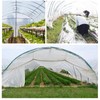 PE Plastic Film Transparent Dustproof Garden Plant Cover Greenhouse Agricultural