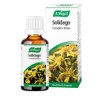 The Healthy Option Solidago Complex 50Ml
