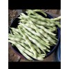 Pan-Asia Heirloom 60 BAI BU LAO Chinese Romano Pole Bean