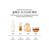 Sulwhasoo [Common] Concentrated Ginseng Renewing Mask 5 sheets / [공통]자음생마스크