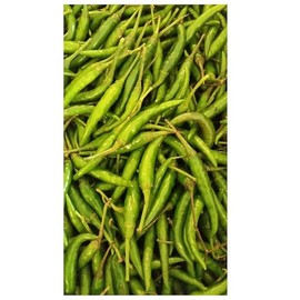 Thai Fresh Chili Peppers Good for Spicing Up Your Dishes (1 lb)