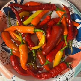 Pepper Js 100x Sweet & Hot Mystery Mix | 2024 Non-GMO Organic Hot Pepper Seeds | Free Ship