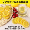 HAMILO Food Sample, Fruit, Lemon, Cut Round, Display, Set of