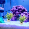 POPETPOP Pack of 5 Aquarium Ring Aquatic Plants, Ceramic Water