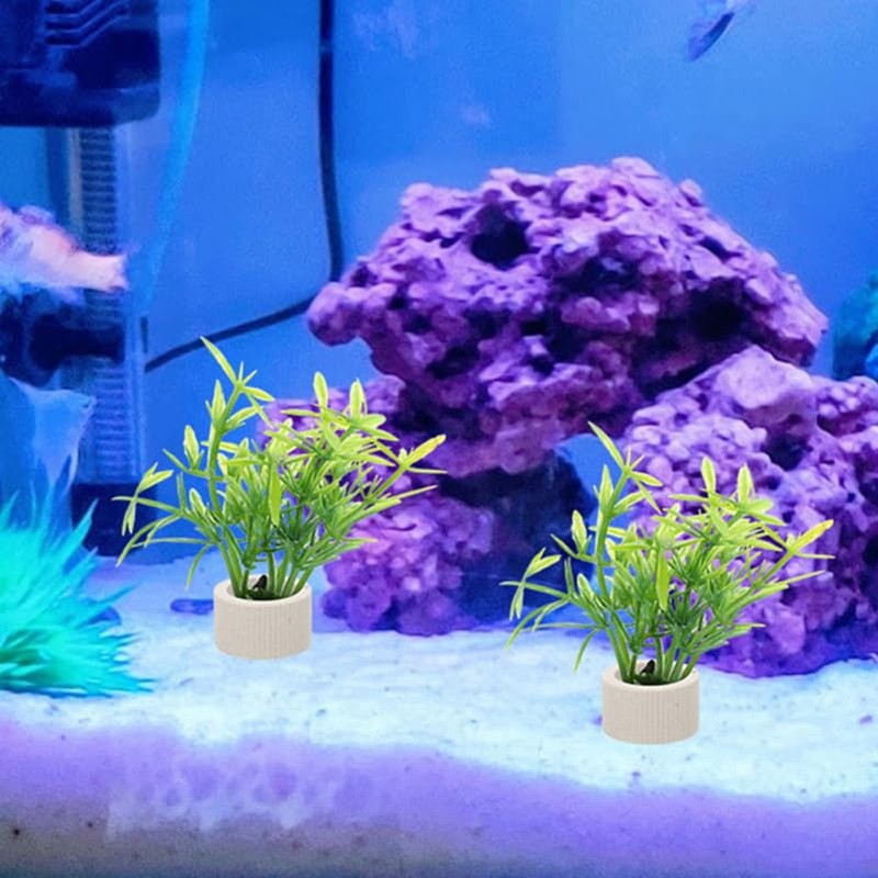 POPETPOP Pack of 5 Aquarium Ring Aquatic Plants, Ceramic Water