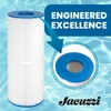 Jacuzzi J-200 Collection 50 Sq/Ft Filter