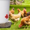 YOUNTHYE 40PCS Chicken Water Nipples Automatic Chicken Waterer Nipples with