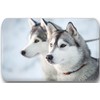Merchandise for Fans Siberian Husky/Alaskan Malamute/Sleigh Dog - 6 Rectangular