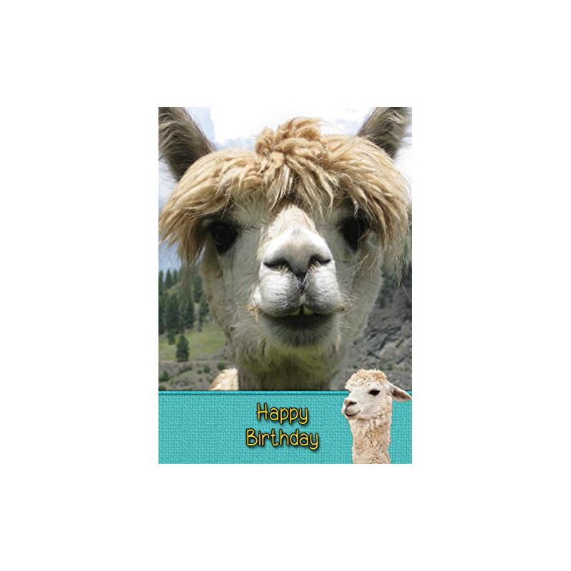 Alpaca Birthday Card