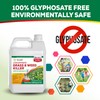 Eco Living Solutions Weed Killer Concentrate - Pet Safe, Organic