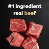 Cesar Small Breed Dry Dog Food Filet Mignon Flavor and
