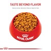 ROYAL CANIN, Indoor Adult, Croquetas para Gato, 1.36kg