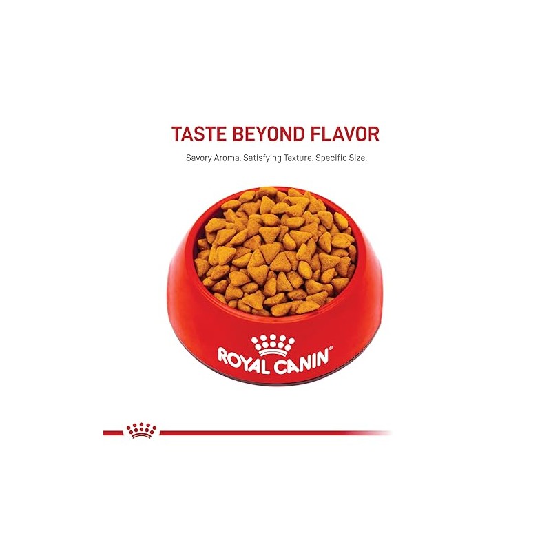 ROYAL CANIN, Indoor Adult, Croquetas para Gato, 1.36kg