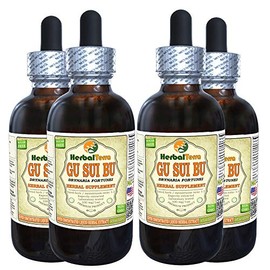 Gu Sui Bu, Drynaria (Drynaria Fortunei) Tincture, Dried Root Liquid Extract (Brand Name: HerbalTerra, Proudly Made in USA) 4x4 fl.oz (4x120 ml)