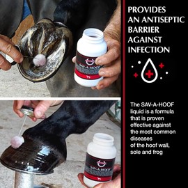 SBS Equine Treatment Against Hoof Illness in Horses | Built-in Dauber Applicator | Treat Entire Hoof (7.5 Fluid Oz)
