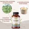 Beta Glucan Powder from 40:1 Oat Extract - 100 g