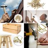 TOP-VIGOR 100Pcs Hardware Nails, 2.4mmx25mm Fiber Concrete Cement Wall Point