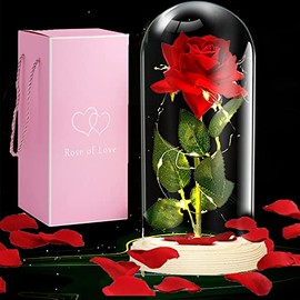 Autbye Rosa Bella y Bestia Eterna Artificial con Luces LED de Cristal para Mujeres, Día de la Madre, Día de San Valentín, Aniversario de Boda, Día de Navidad