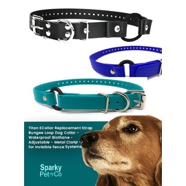 Sparky Pet Co - 1" ECollar Replacement Strap - Bungee Loop Dog Collar - Waterproof Biothane - Adjustable - Metal Clasp - for Invisible Fence Systems, Blue