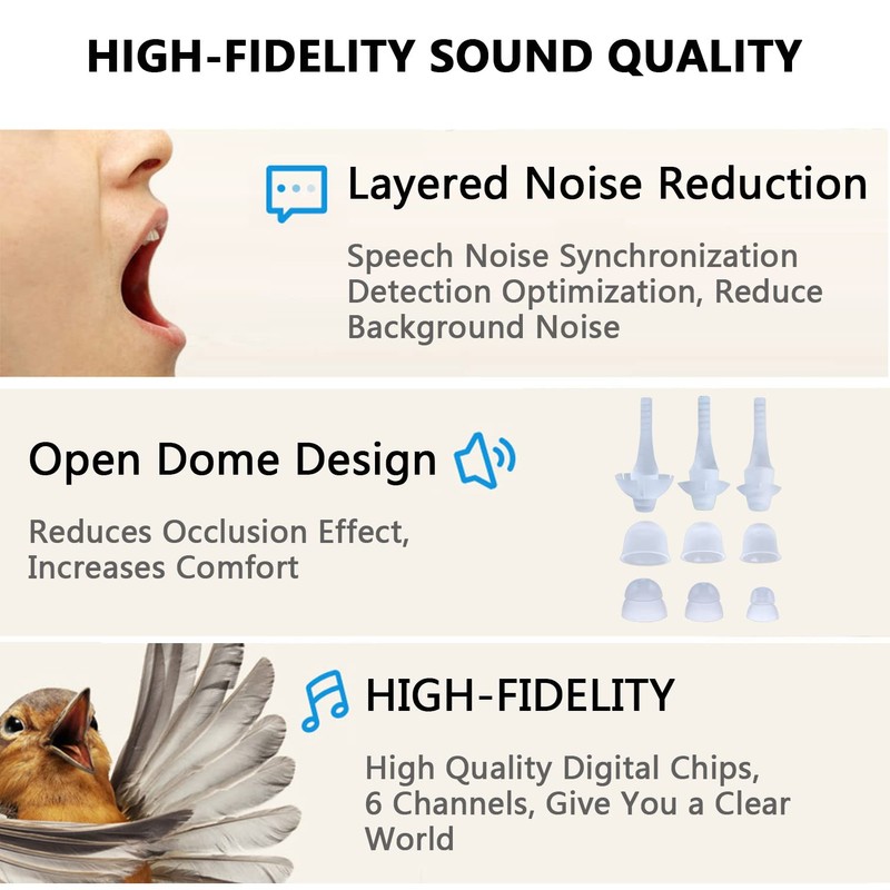 BLJ Hearing Aid for Seniors and Adults with Noise Reduction
