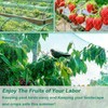 4 x 6 m Bird Protection Net, Tight Mesh, Pond