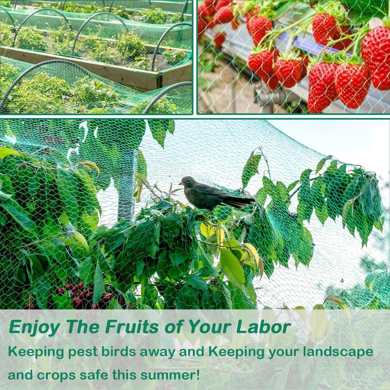 4 x 6 m Bird Protection Net, Tight Mesh, Pond