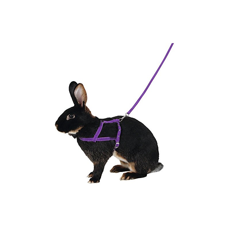 Kerbl Shoulder Harness Agility with Leash, Large, 2 m