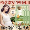 【30ml新包装】泡泡染 染發劑 植物萃取染发 不沾头皮不沾脸可盖白发 Plant ingredients DIY hair coloring shampoo