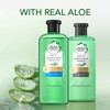 Herbal Essence Conditioner Biolino Aloe & Bamboo 14.1 oz (400