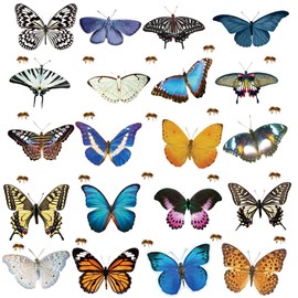 40 Butterfly Stickers, Anti-Collision Window Stickers, Window Stickers, Butterfly Window Stickers, Protection Against Bird Strike, for Bathroom, Bedroom, Kitchen