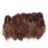100 pcsHappy Feather Natural Pheasant Plumage Feathers 2-3 Inches Plumage