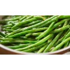 TomorrowSeeds Jade Green Bean Seeds (Bush) | Slender Delicate Haricot