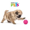 Fancy Pets Juguete Dental para Perro, Extra Chico, 6.5 cm,