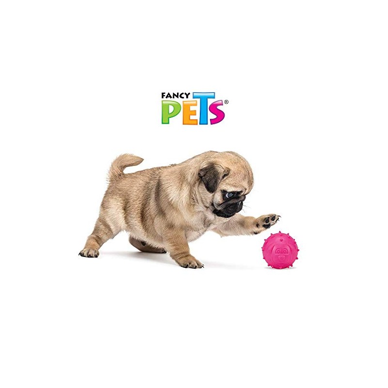 Fancy Pets Juguete Dental para Perro, Extra Chico, 6.5 cm,