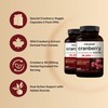 NatureBell 2 Pack Cranberry Concentrate with Acerola, 240 Vegetarian Capsules