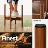 MUDEELA 2 Pack Indoor Plant Stands, 2 Tier Tall Plant