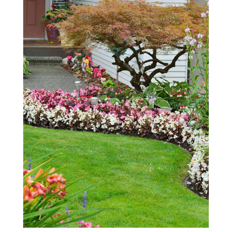 EraGreen Lawn Edging 4.5 cm x 1 m – Plastic