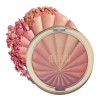 Rubor Milani Color Harmony Blush Palette 01 Pink Play