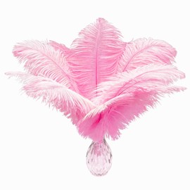 Piokio 20 pcs Natural Pink Ostrich Feather Plumes 12-14 inch(30-35 cm) Bulk for Wedding Party Centerpieces and DIY Clothes Decoration, Gatsby Decorations