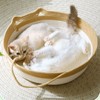 Handwoven Cotton Rope Cat Bed Multifunctional Exquisite Comfortable Cat House