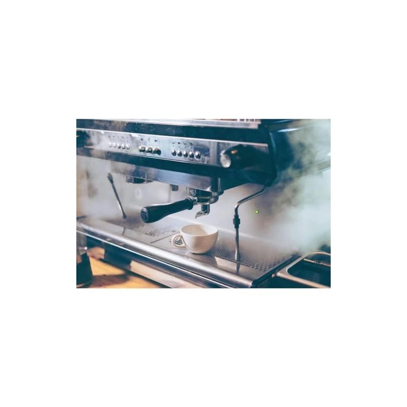Gaggia Espresso Machine Decalcifier 8.45 Fl Oz Pack of 2